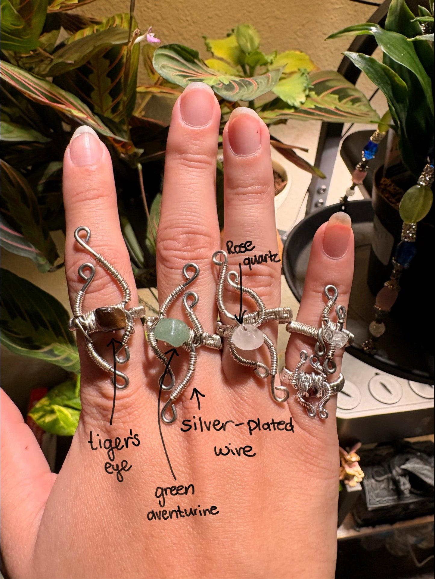 Climbing Vines